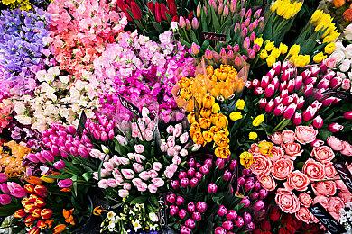 动漫TPS《第二浪潮》一个月关服 开发商拖欠工资负债24亿韩元倒闭