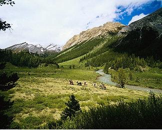 3DM速报：主机平台也遭遇外挂 育碧新项目《刺客信条：无限》